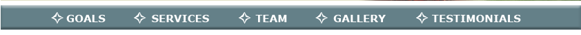 Goals : Services : Team : Gallery : Testimonials